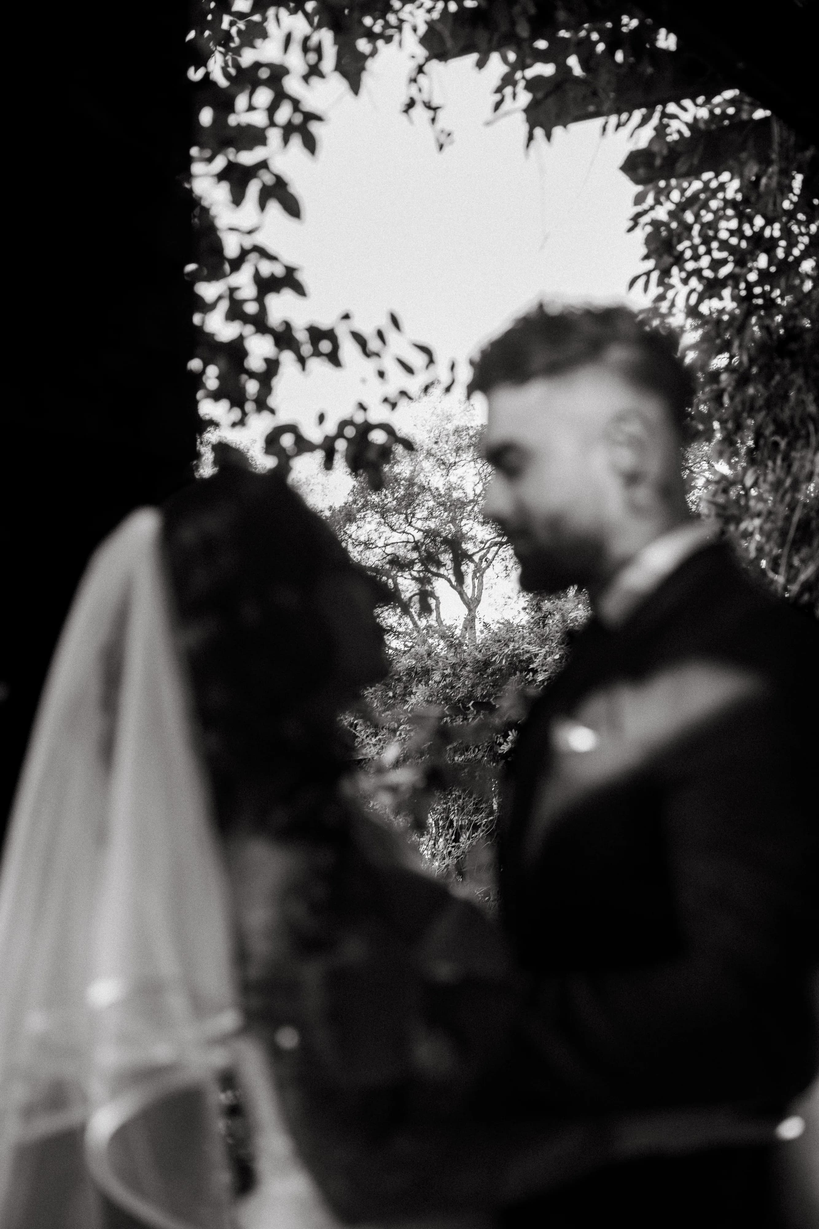 Wedding Day — Bilal & Selda, Pyrmont, Hyde Park, The Rocks, La Piazza bankstown, Sydney