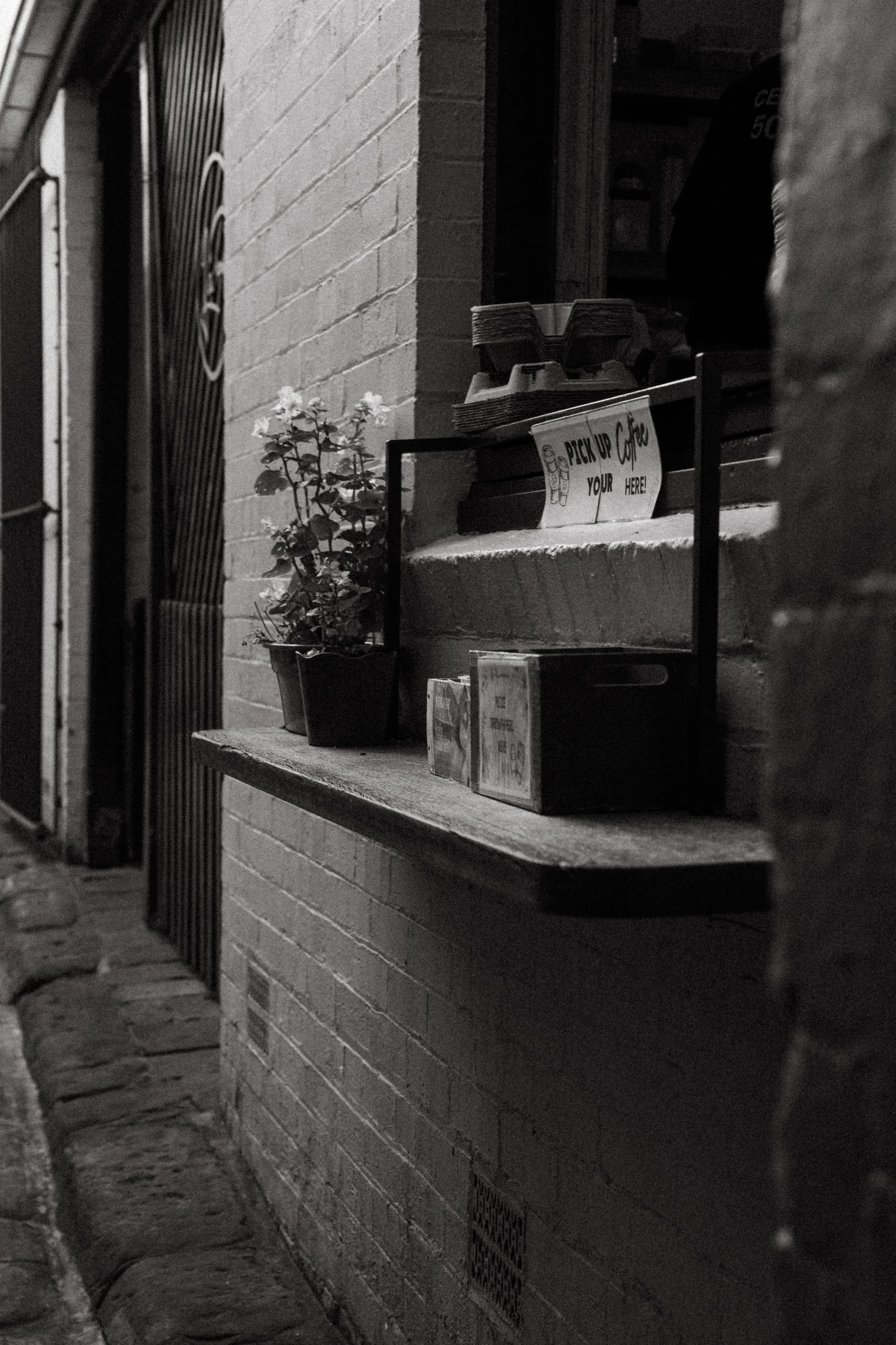 Wedding Day — Bilal & Selda, Pyrmont, Hyde Park, The Rocks, La Piazza bankstown, Sydney